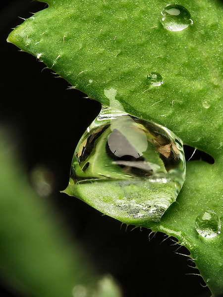 gouttes de pluie-03.jpg